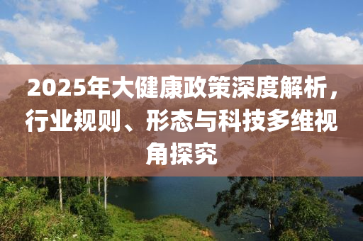 2025年大健康政策深度解析，行業規則、形態與科技多維視角探究